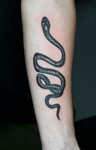 snake tattoo by Tim