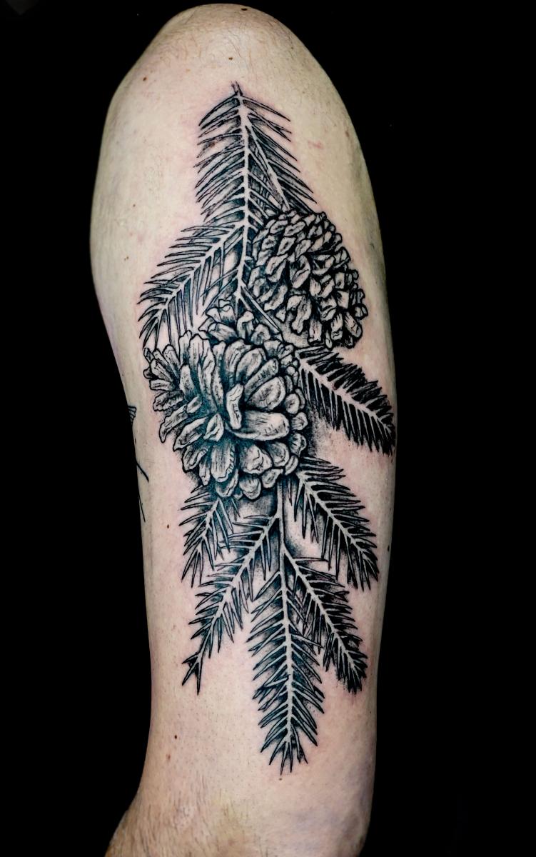 Little pine cone filler pinecone tattoo  Instagram