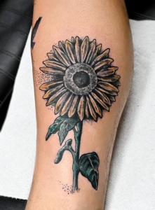 Sunflower Texture work