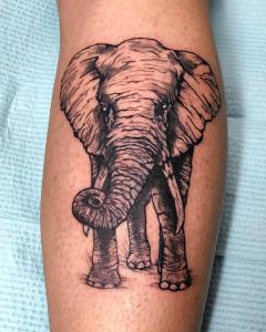 Elephant Ink