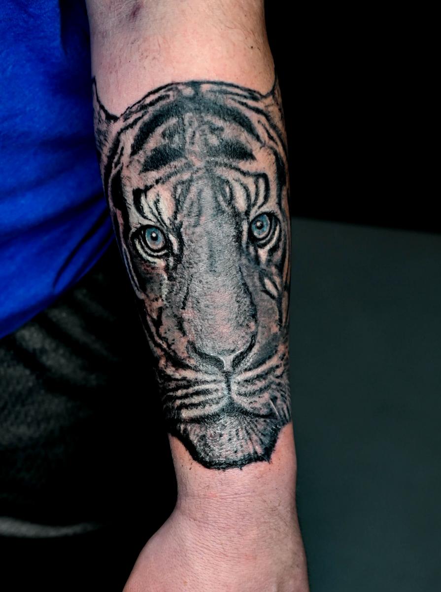 tiger sleeve, right arm | This is the completed tattoo sleev… | Flickr